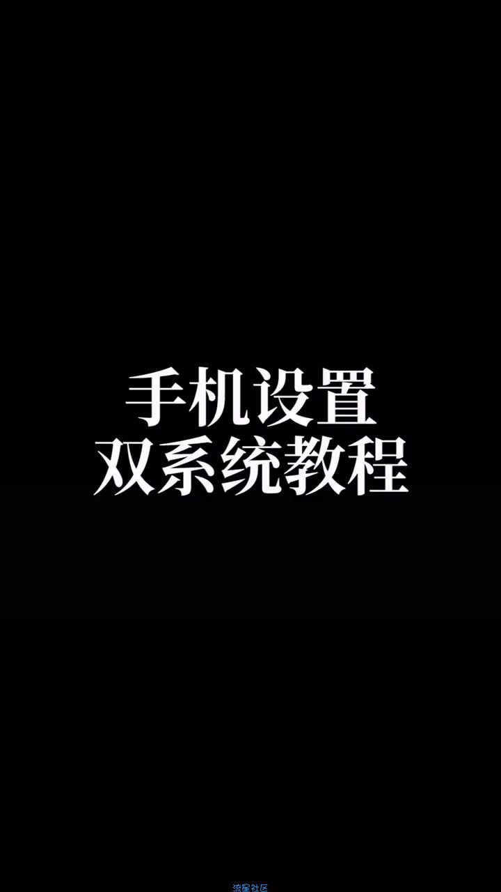 手机双系统