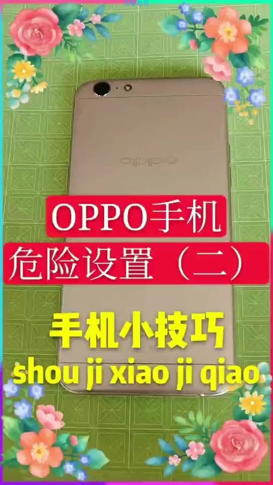  OPPO危险设置2