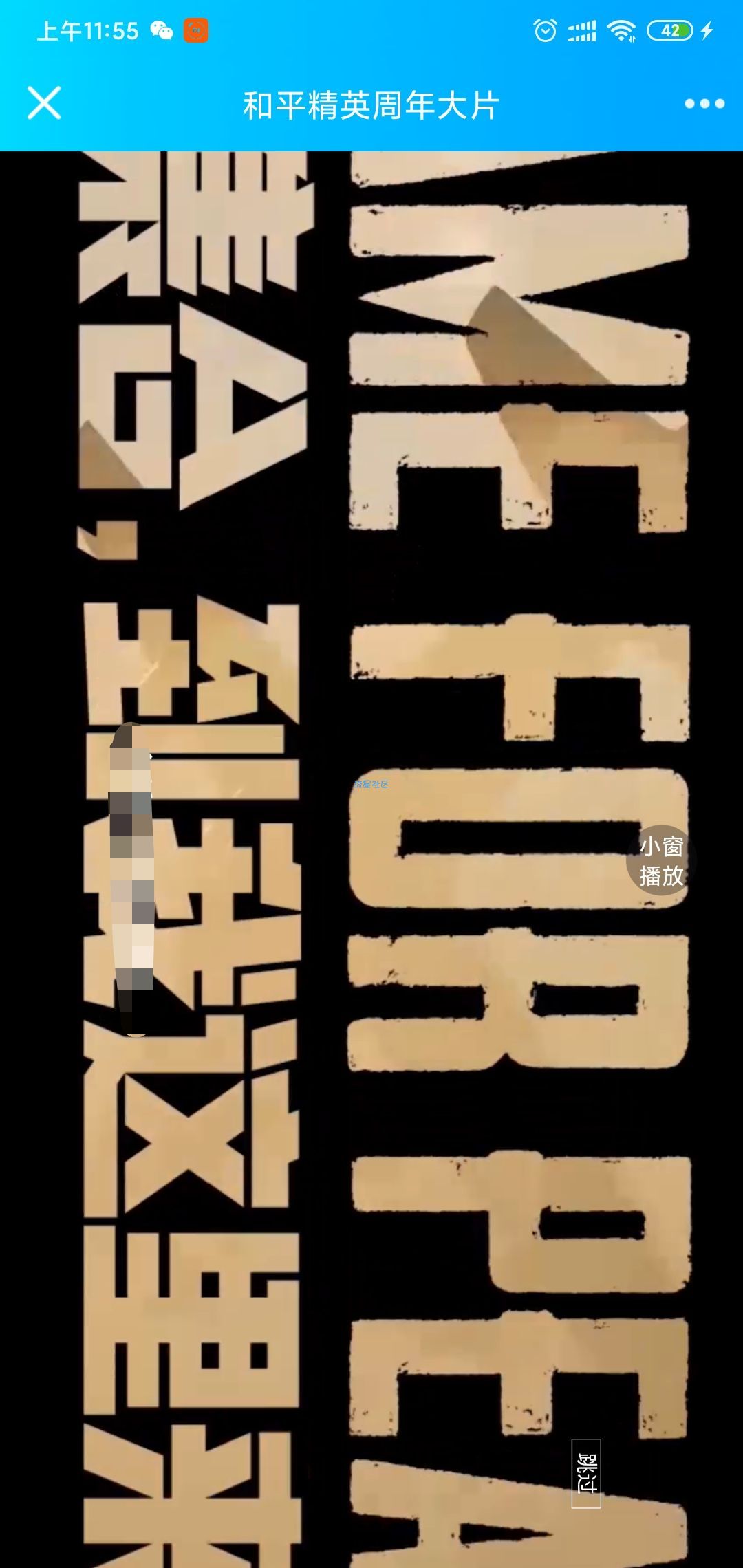 【虚拟物品】和平精英一周年称号