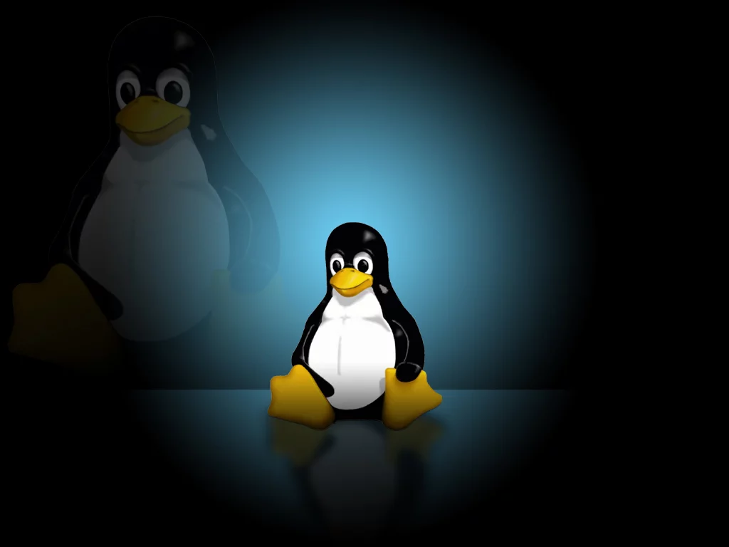  Linux系统指令系列①