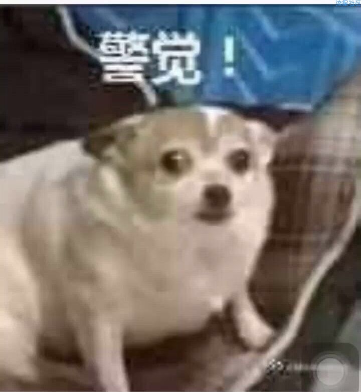 【现金红包】520小米商城抽红包！