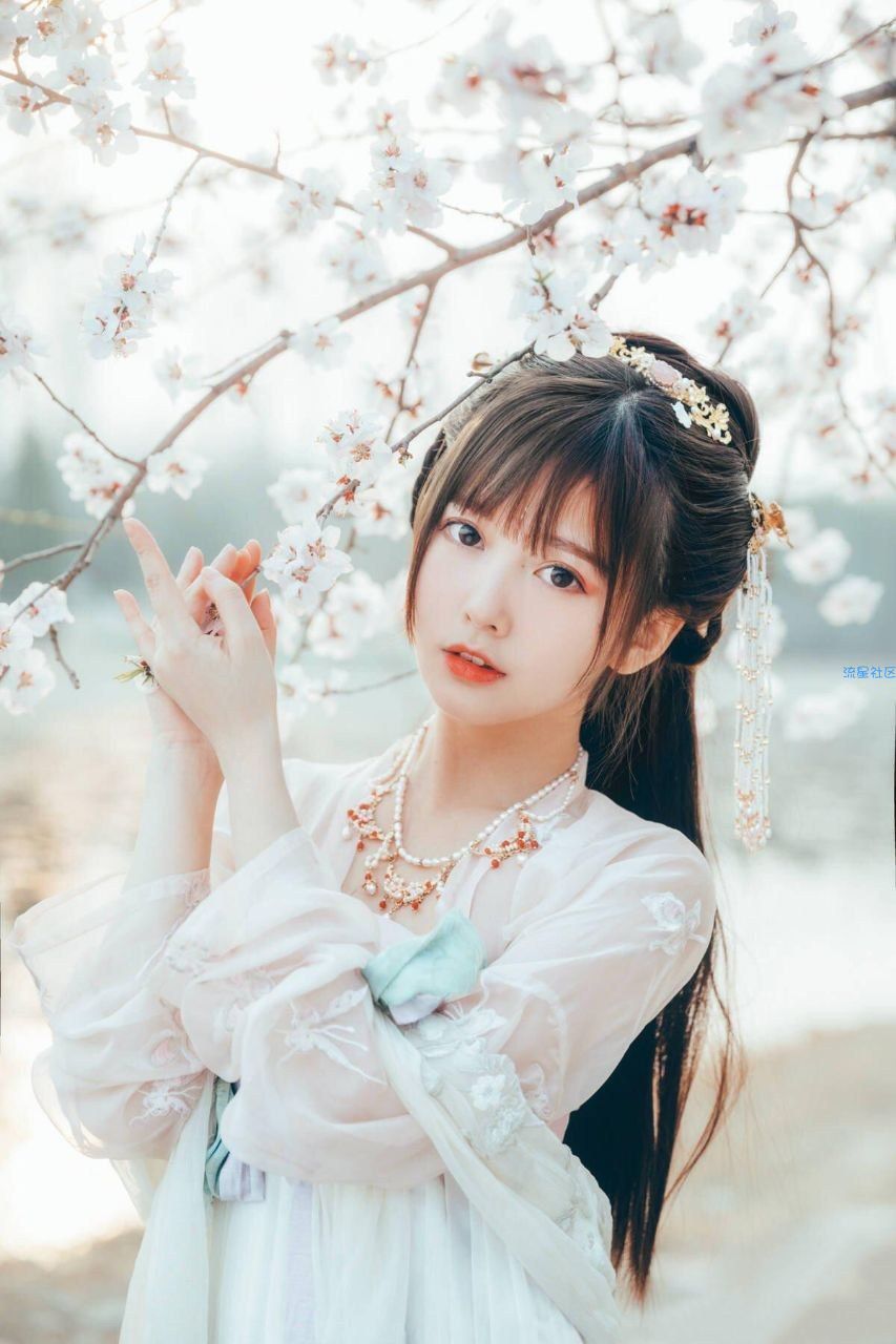  小米8 20.1.20