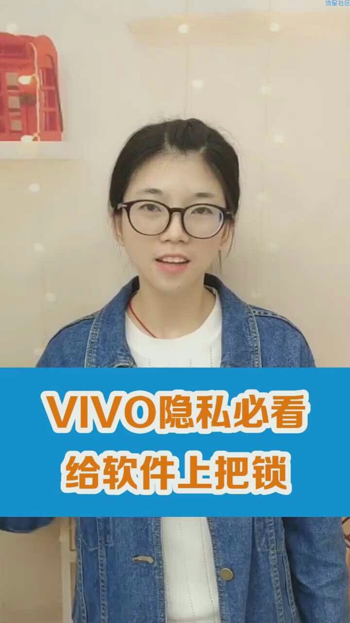  VIVO隐私锁