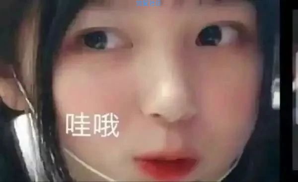 【PC分享】百度/豆丁文库下载器