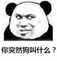 查询手机注册多少软件和网站