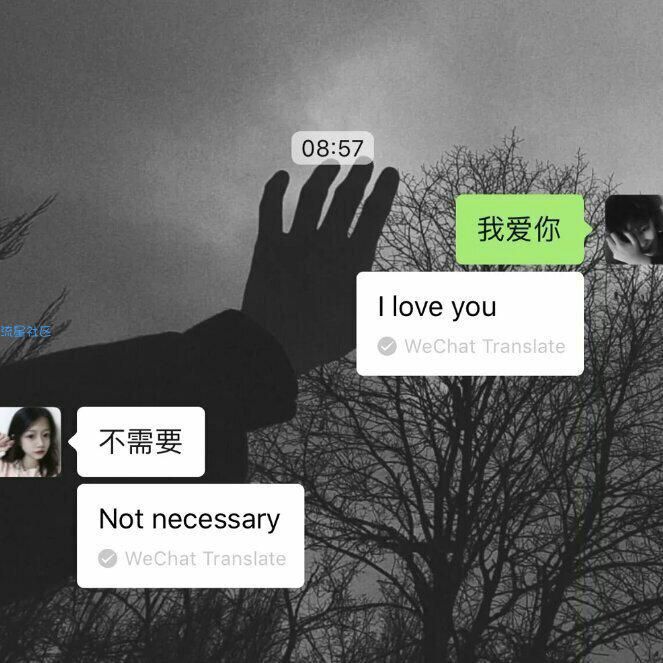  轻颜相机解锁永久会员教程