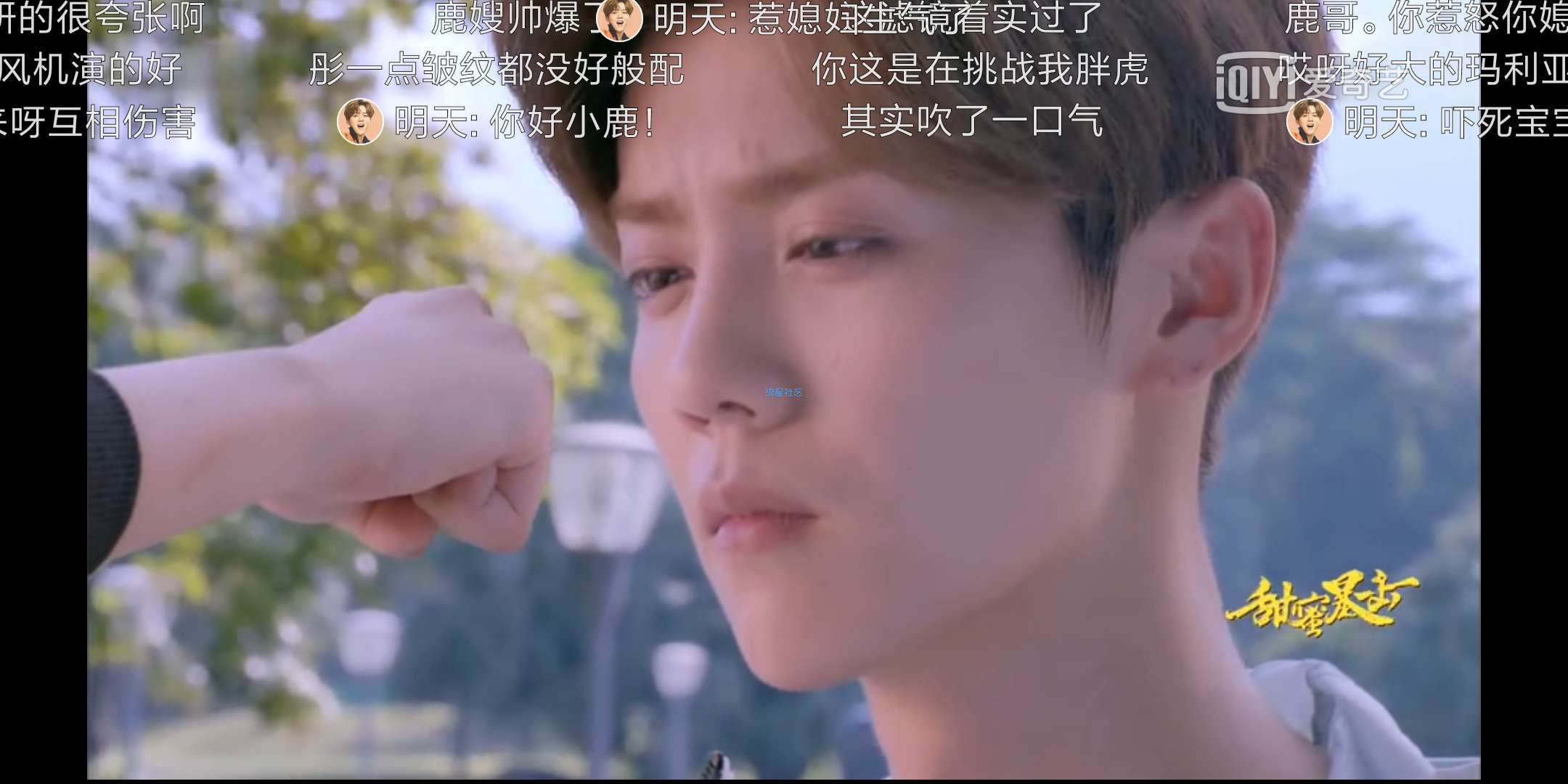 【资源分享】爱奇艺纯净版v.10.2