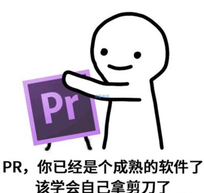 【资源分享】PR2020  超级强大电脑视频剪辑软件