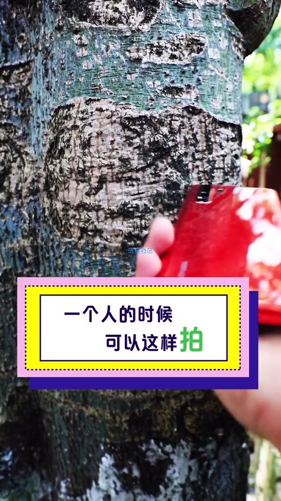  一个人的时候可以这样拍