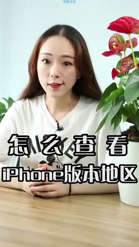  怎么查看自己手机的版本地区