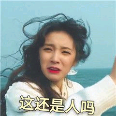 高端简洁响应式电子商务网站源码