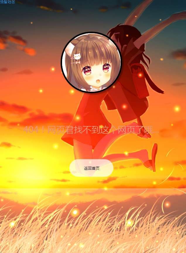 〔在线搭建〕带背景音乐的404页面模板