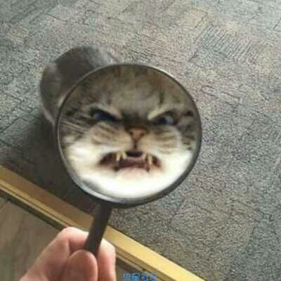 QQ被盗怎么办? 如何盗回来?