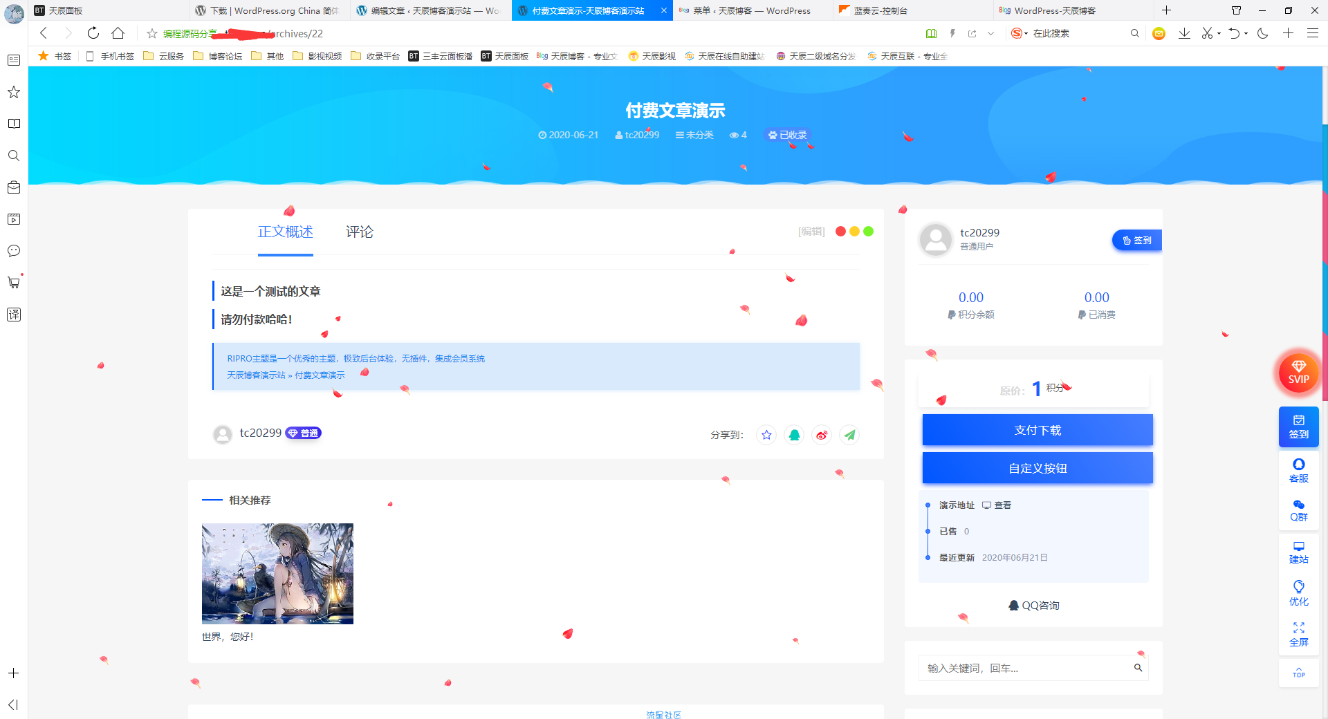 【流星首发】RiPro6.7+极致子主题2.0-修复最新版