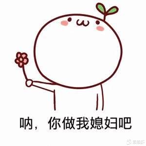 新版全民解析视频源码