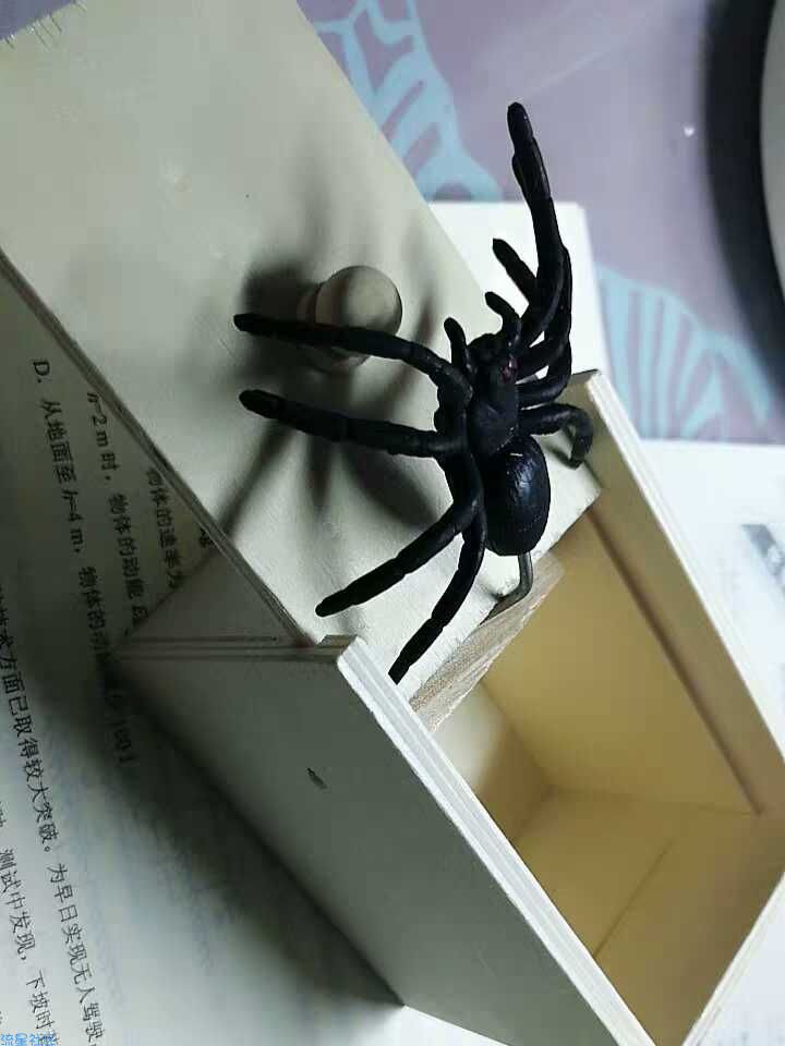 【撸实物】免费领取整人蜘蛛
