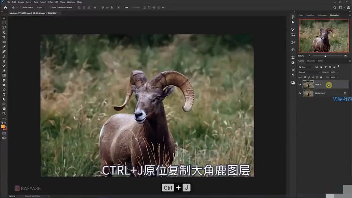 【教程分享】Photoshop创意合成一头发光的野山羊