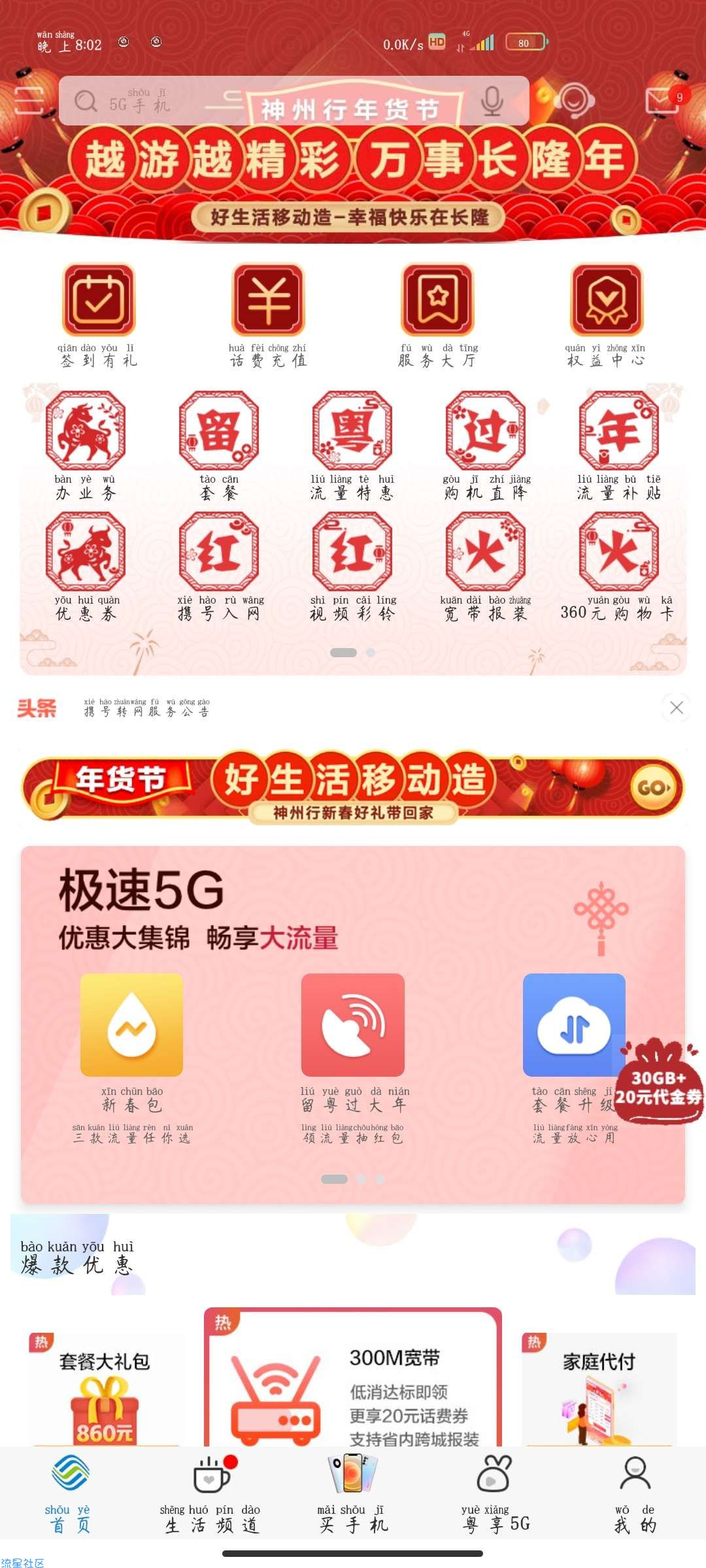 移动流量10G