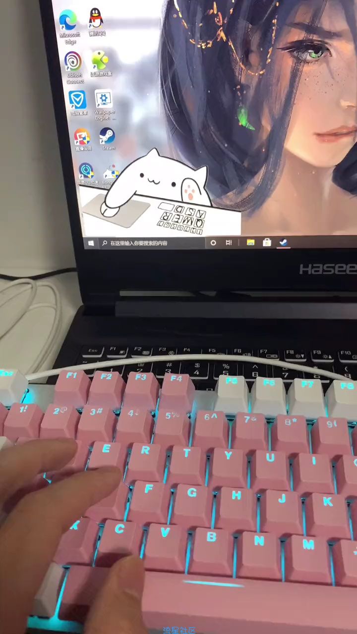 【分享】 抖音爆款电脑挂机 BongCat邦戈猫V0.1.6