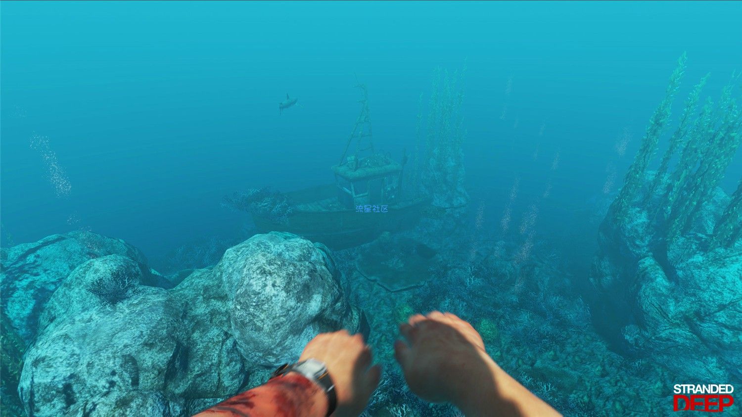  【游戏分享】《荒岛求生》v0.80.1中文版