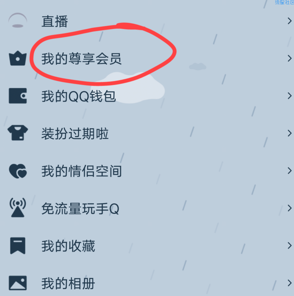 白领QQ14天svip，两个月等级加速包，两个月会员加速包