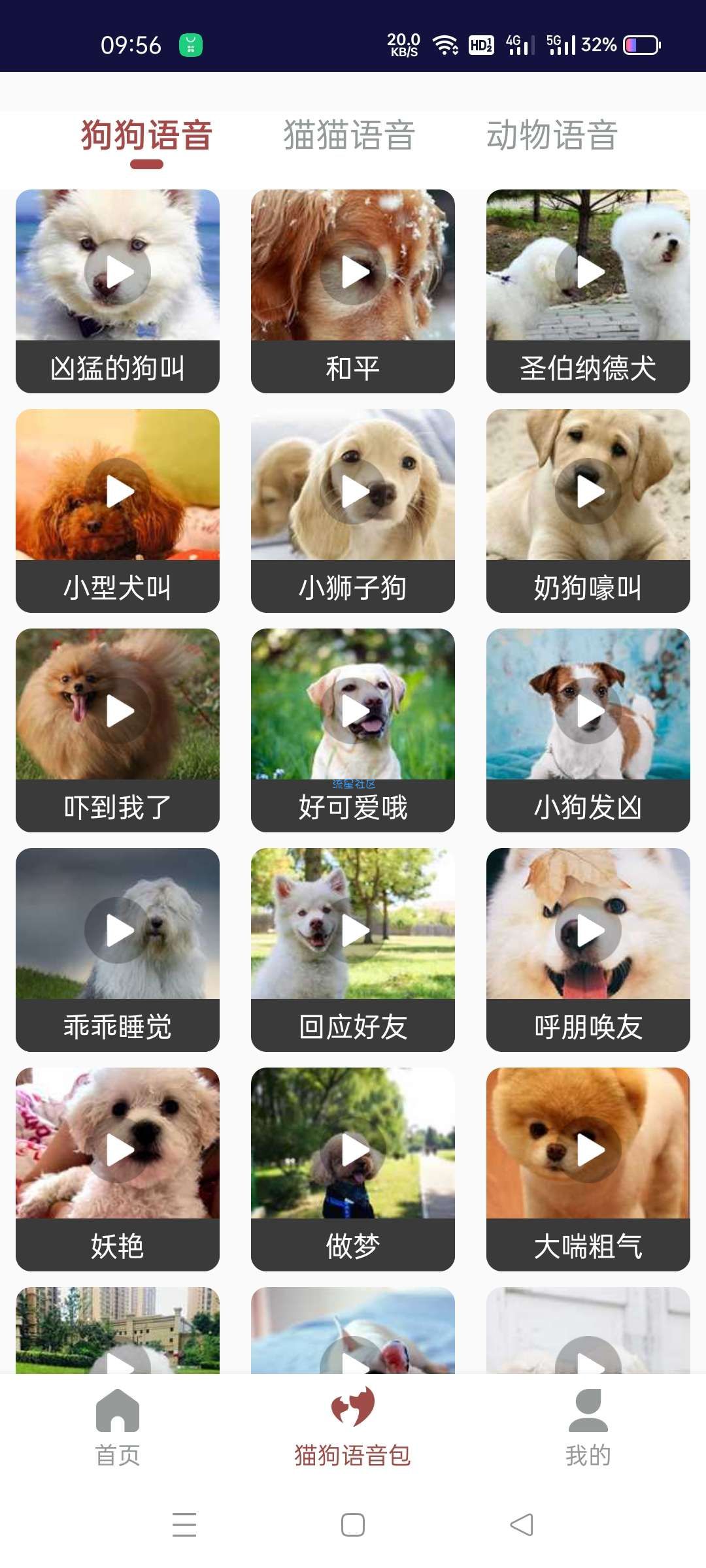 【分享】人人猫狗翻译交流器1.0.1