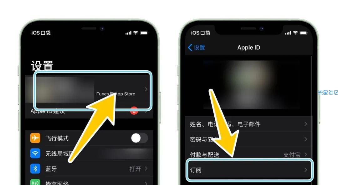 【虚拟物品】Apple Music两个月