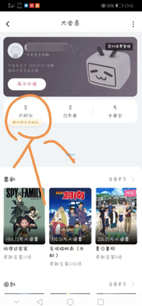 【虚拟物品】哔哩哔哩大会员兑换3天大会员