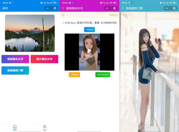 微信小程序去水印/抖音热舞小视频/懂的来！