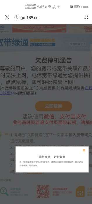 停机宽带，有绿通，能可以用的Tiny配置吗？