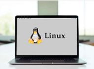 【玩机教程】如何在PC和Mac上安装Linux