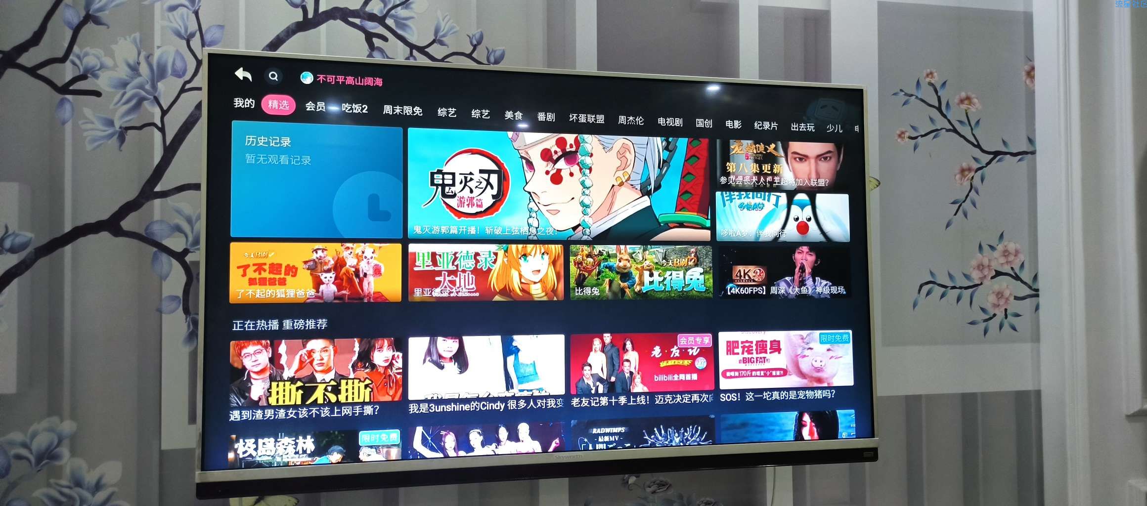 【分享】哔哩哔哩TV版-可以看弹幕同步手机会员
