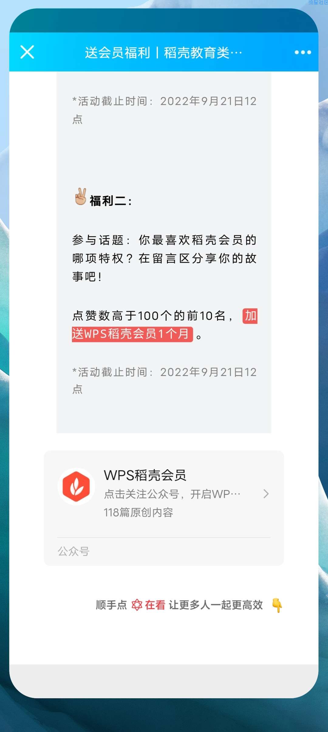 【虚拟物品】WPS会员