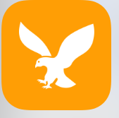 小黄鸟抓包举报快手教程系列