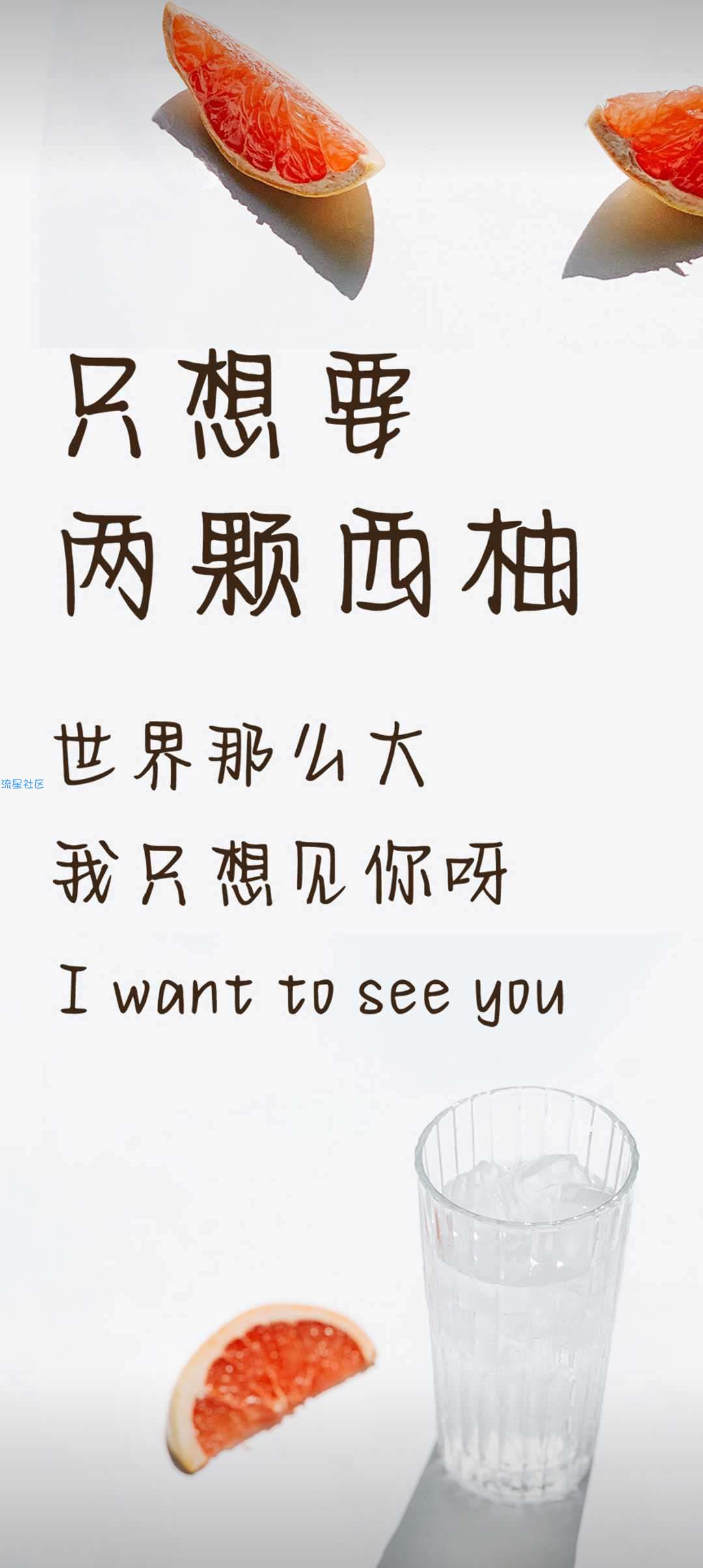 vivo字体―只想要两颗西柚