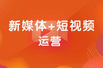 零基础学习手机剪辑入门到精通+新媒体运营