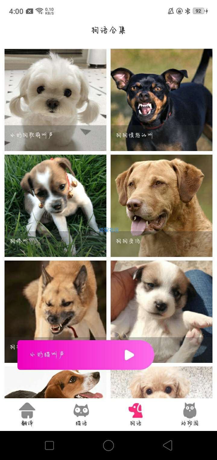 狗狗猫交流翻译器v2.5