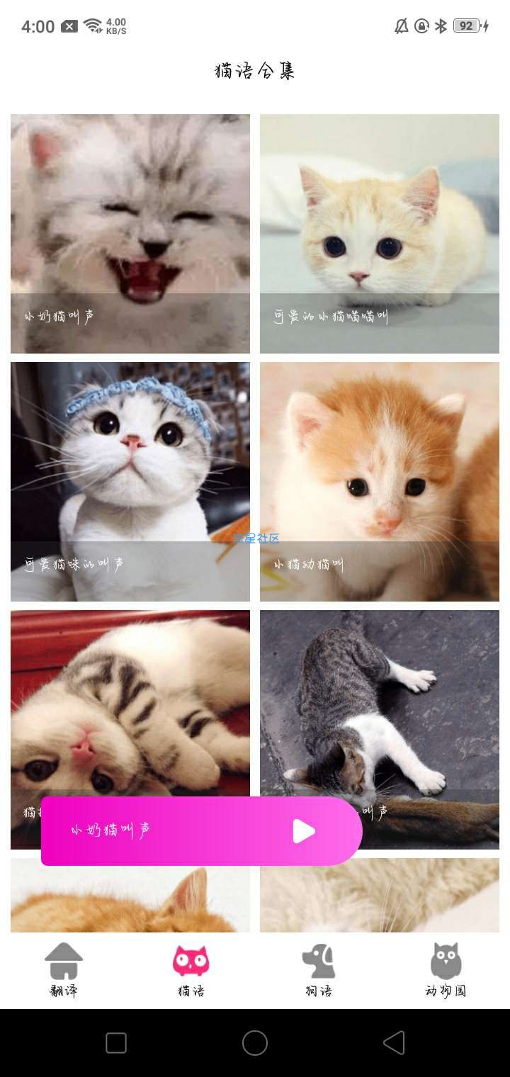狗狗猫交流翻译器v2.5