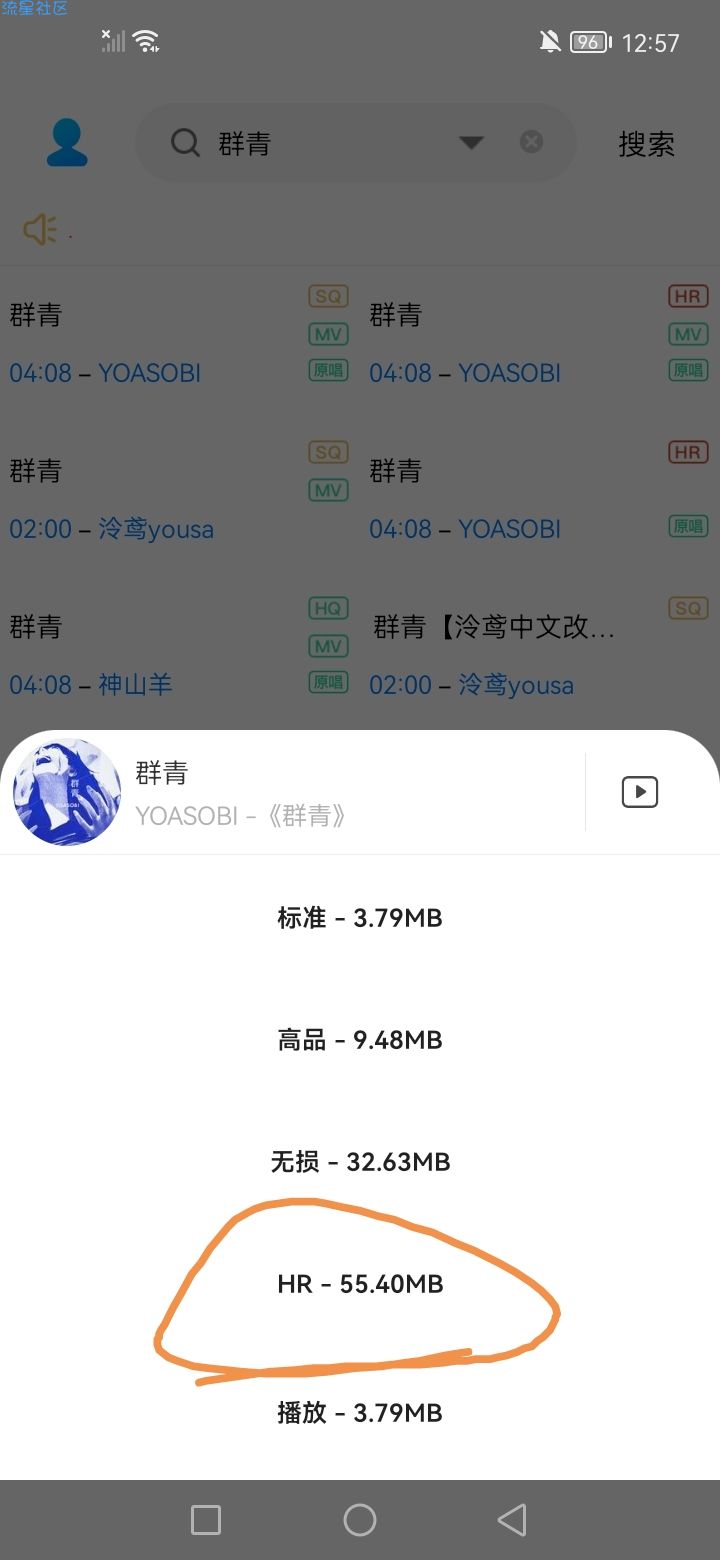 歌词适配v4.1免费下全网无损
