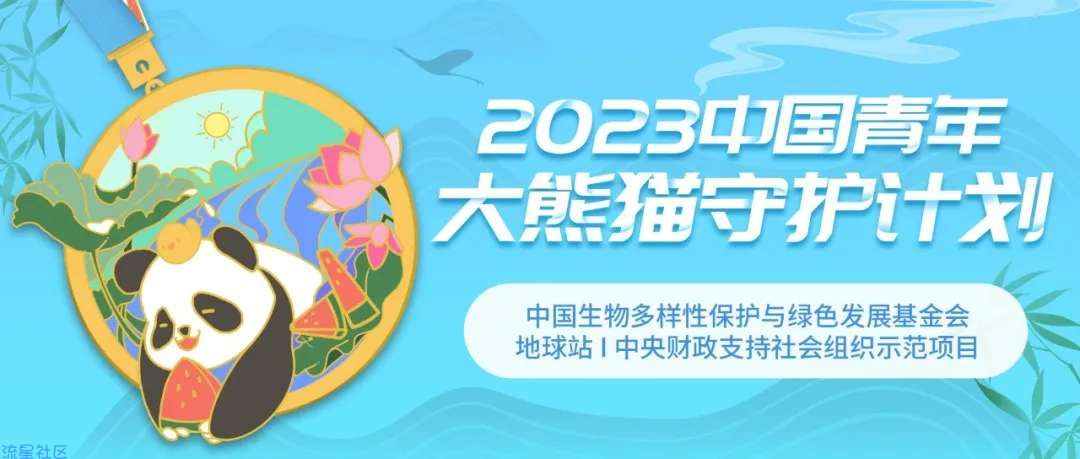 【公益活动】大熊猫守护计划 答题得证书、徽章、冰墩墩