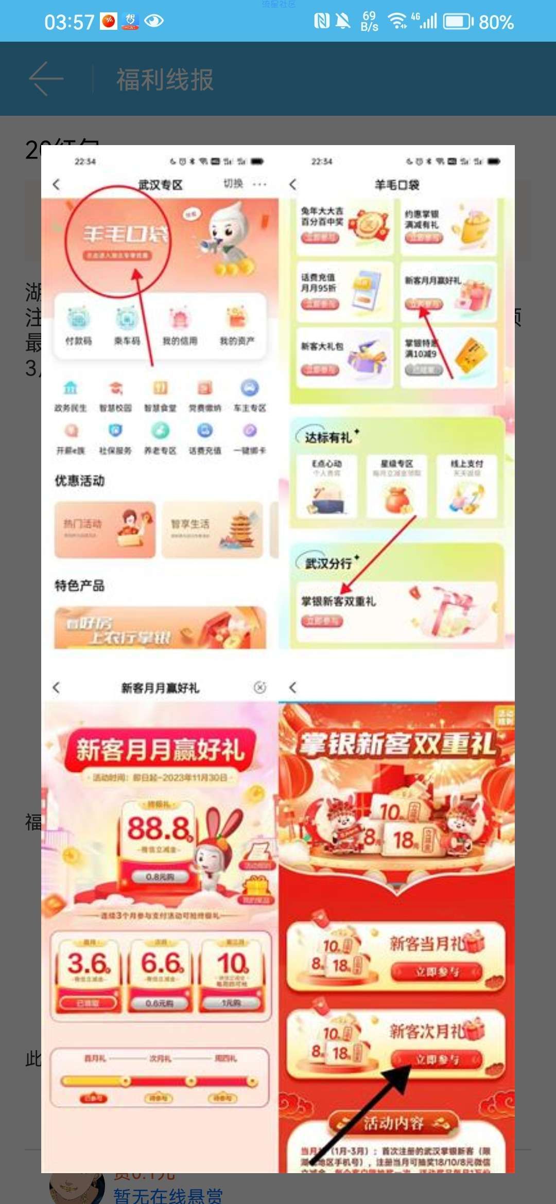 湖北农行20大毛