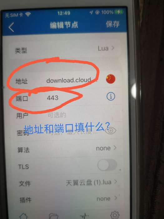 苹果手机天翼云盘本地模式。端口和地址应该填什么？