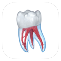 牙科3D图解 v2.0.86 解锁高级版