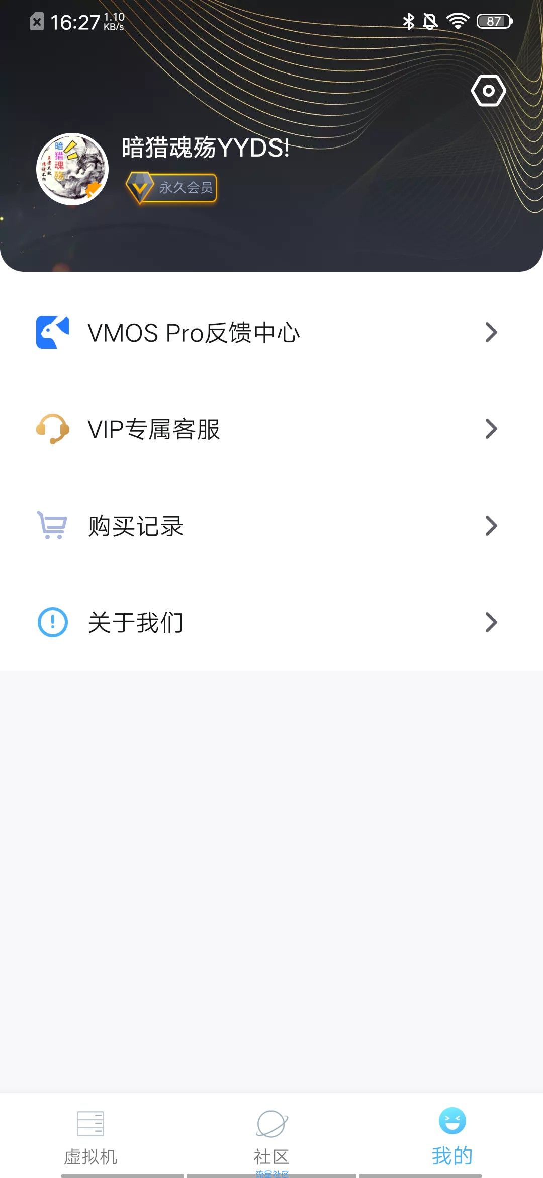 VMOS Pro v2.9.8，还有光速虚拟机