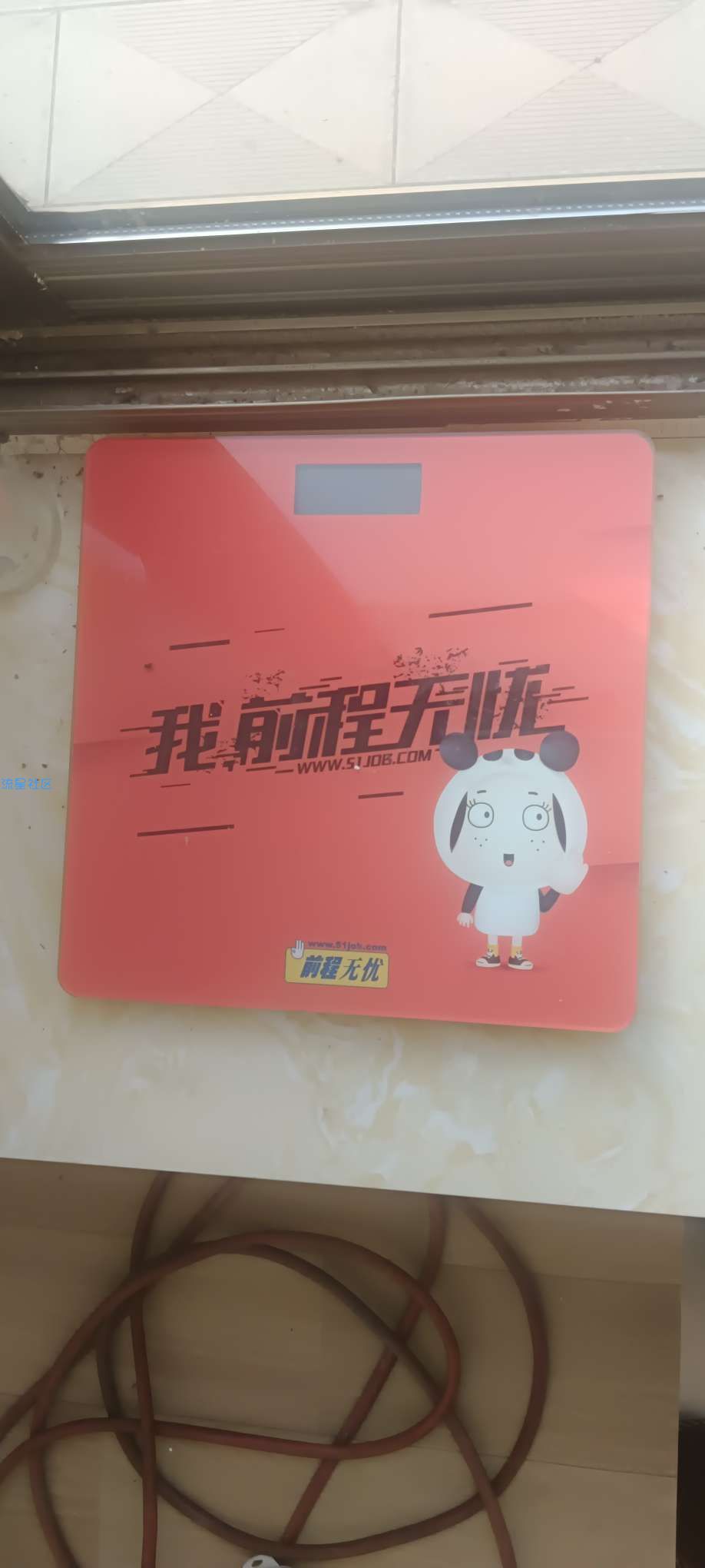 应届生求职APP（前程无忧）宠物35级得体重秤