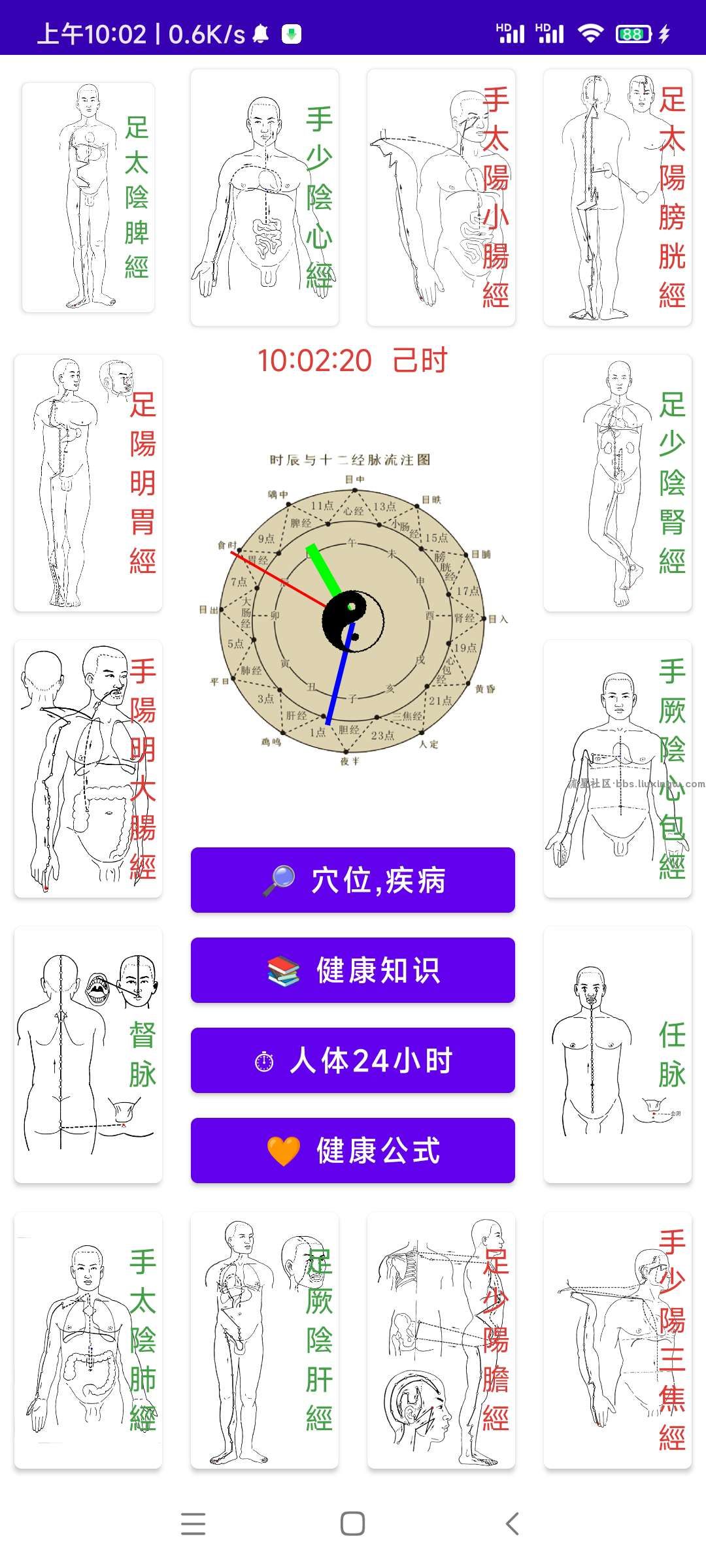 【合集】自学中医知识，养生、穴位图解、医书病理、针灸、