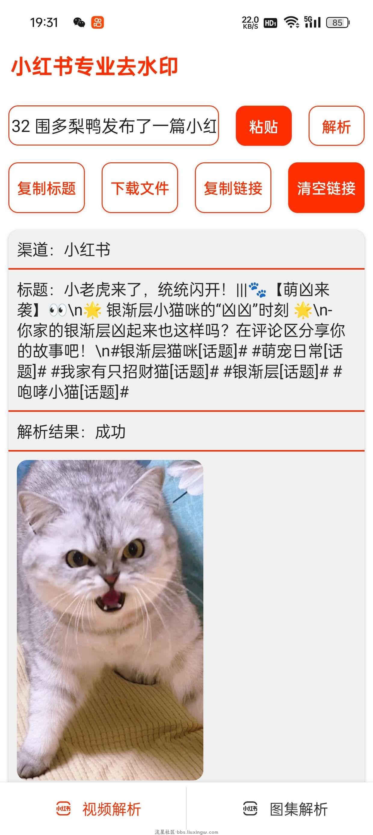 小红书短视频去水印v1.8，支持多个平台