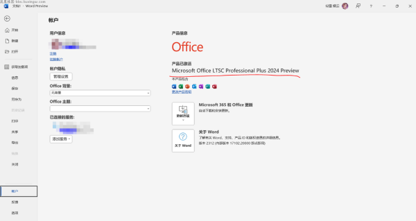 office 365办公软件，2024永久激活版