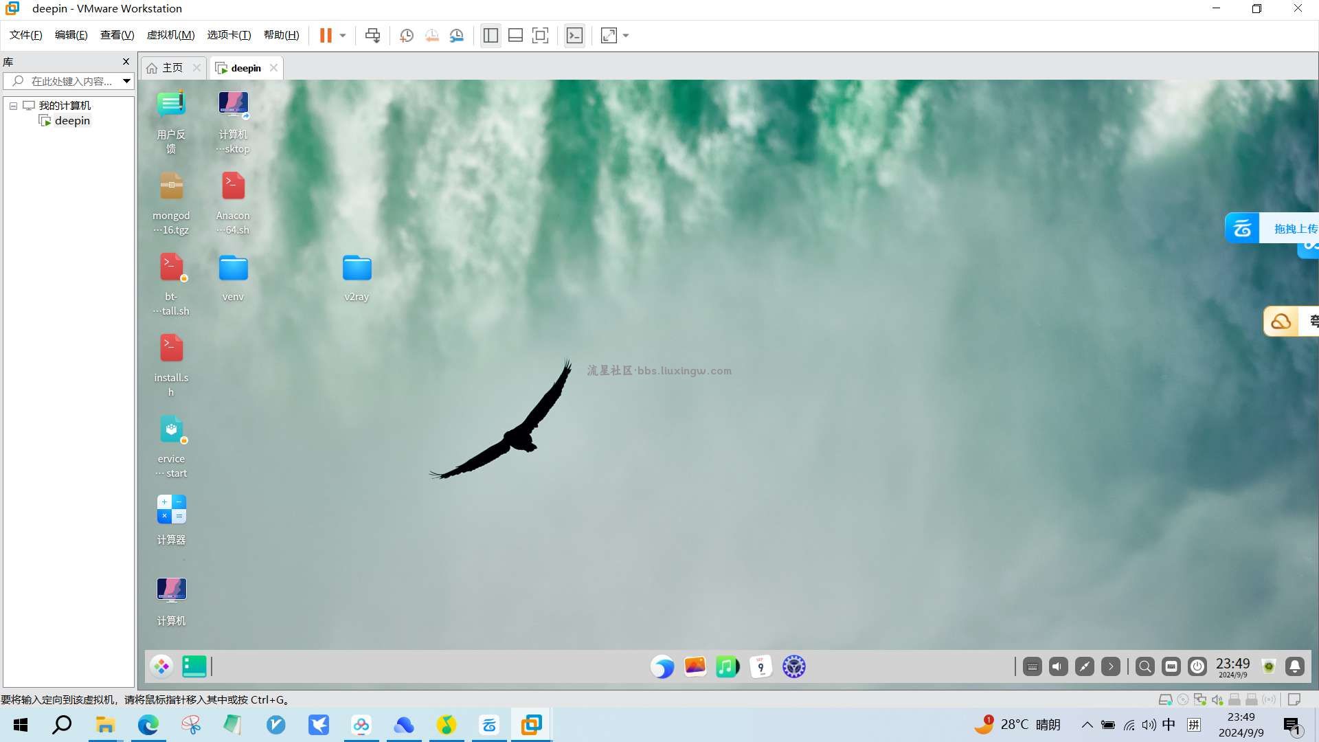 【PC】VMware 虚拟机17.6.0，安装多个系统