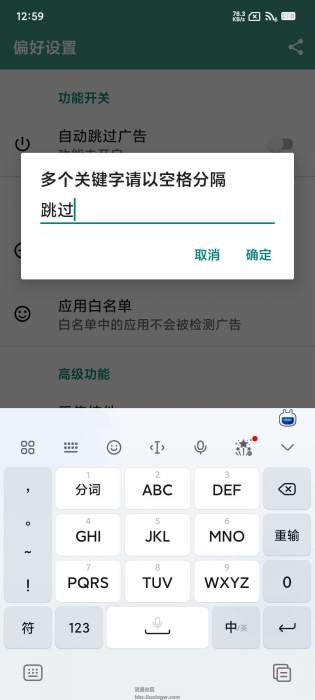 雷跳跳v1.02，李跳跳的好兄弟，自定义去广告神器